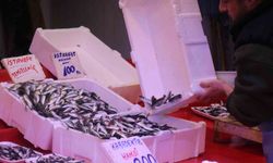 Sakarya’da İstavrit Bolluğu: Fiyatlar 100 Liraya Kadar Düştü