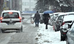 Erzurum, Ardahan ve Kars’ta Kar Yağışı Hayatı Olumsuz Etkiledi