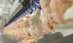 Ticaret Bakanlığından Kanatlı Eti İhracatına Tedbir Kararı