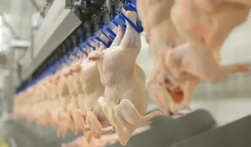 Ticaret Bakanlığından Kanatlı Eti İhracatına Tedbir Kararı